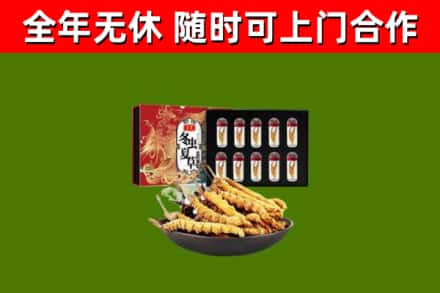 鹰潭烟酒回收冬虫夏草礼盒.jpg